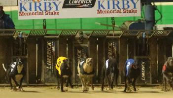 Live TV coverage confirmed for the final of the Con & Annie Kirby Memorial in Limerick
