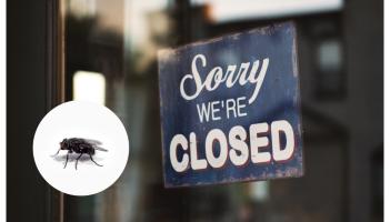 'Covered with flies' - Limerick takeaway ordered to close amid health concerns