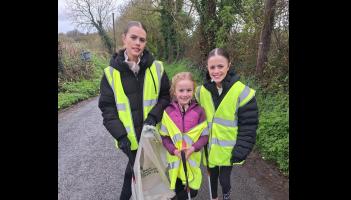 PICTURES: Volunteers give lots of TLC to their local community in Limerick