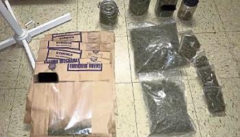 Man arrested over cannabis seizure following fire at growhouse in Limerick village