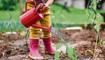 Green Fingers: Getting kids involved in the garden