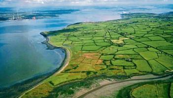 Limerick still ahead in race for LNG plant