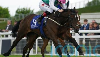 Zarinsk promises plenty in Curragh maiden victory