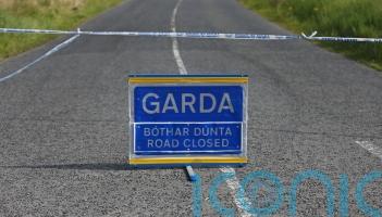 Driver killed in Co Limerick crash