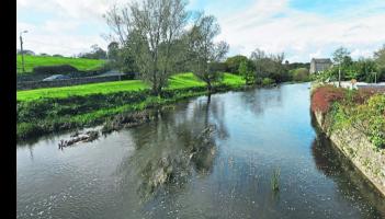 Local event to explore River Maigue’s history and heritage