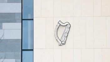 'A very significant animal cruelty case': Limerick farmer faces 173 charges over dead calves