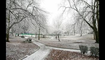 Limerick schools close due to health and safety concerns from cold snap