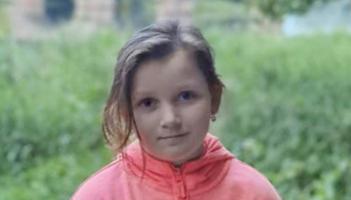 Report finds 'no evidence of wrongdoing' by Limerick gardai investigating fatal road traffic collision