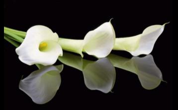 RIP: Limerick deaths and funeral details, Thursday, March 19