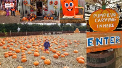 Curraghchase Pumpkin Patch: The best family Halloween event in Limerick