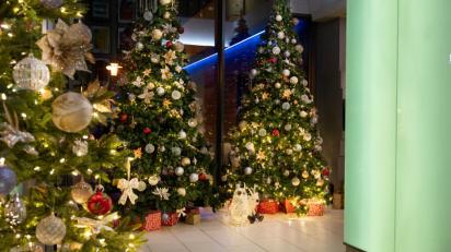 Celebrate the magic of Christmas at the Limerick Strand Hotel