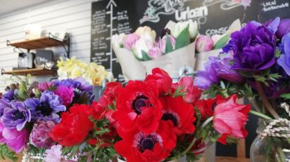 The Urban Co-operative - Loving the Land: As seen in the Feb&ndash;Mar Issue of Limerick Life