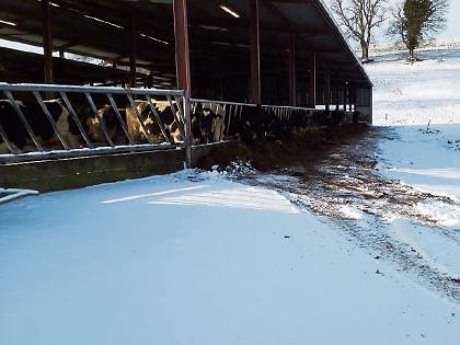 Limerick Farmers Stock Up On Heaters Not Bread Limerick Leader Shop online for all your agricultural needs.