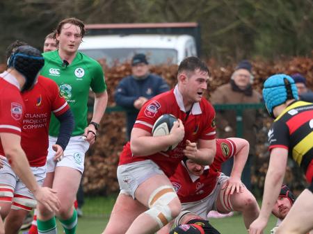 Mixed bag of results for Limerick sides in Round 12 of Energia All-Ireland League