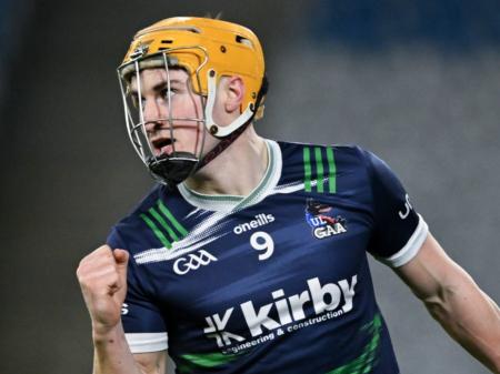 Limerick stars shine as UL see off local rivals Mary Immaculate College in Fitzgibbon Cup final