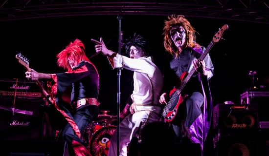 Limerick set to rock this summer as live concert series is confirmed