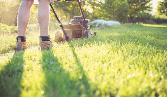 Green Fingers: Mowing season: What to do with the clippings
