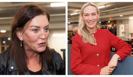 Musical chairs, high-profile casualties and a fight to the end - Limerick City election