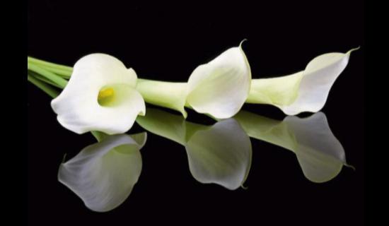 RIP: Limerick deaths and funeral details, Thursday, April 16