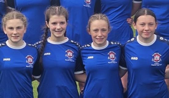 Two Limerick wins in opening series of Gaynor Cup group fixtures at UL