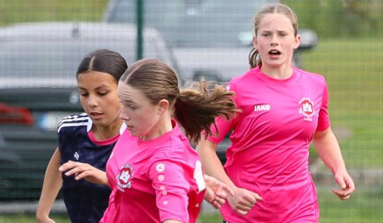 Three Limerick sides in Gaynor Cup quarter-final action at UL this Wednesday