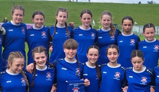 Limerick sides in Gaynor Cup action as District League target showpiece final place