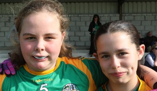 PICTURES: Limerick supporters cheer on ladies football side against Derry