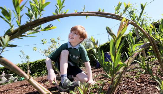 Limerick schools honoured with 'Nature Hero' award for environmental efforts