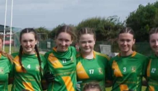 Limerick club win prestigious National F&eacute;ile title