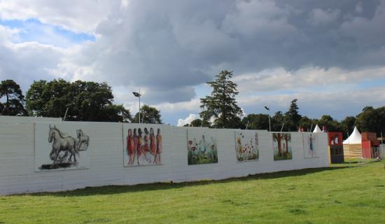 Limerick artists' work among those to be displayed at this year's Electric Picnic