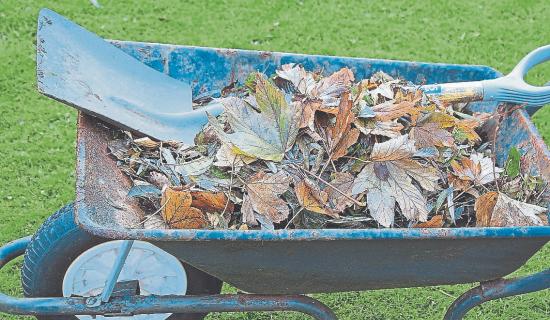 Wheelbarrow applies to Limerick Council to be added to Presidential ticket