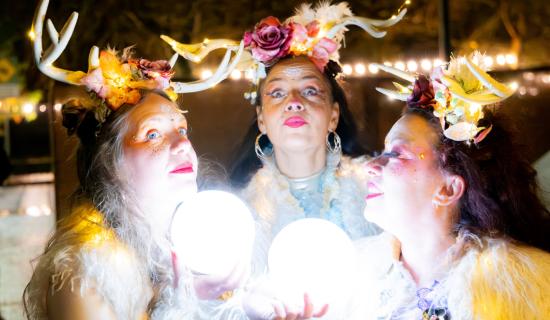 Limerick shines bright with a festive calendar full of Christmas fun