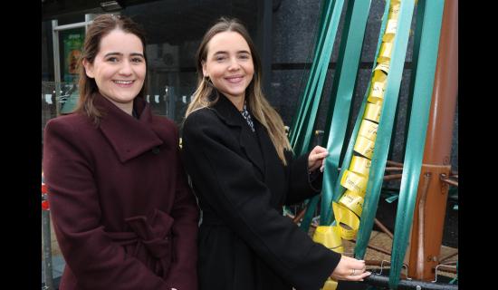 PICTURES: Launch of Rotary Club Remembrance Tree in Limerick city