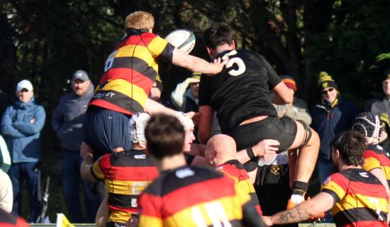 Limerick sides looking to bounce back in crucial All-Ireland League fixtures
