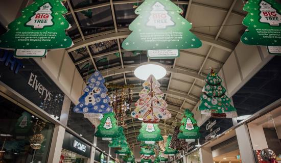 Schools across Limerick celebrate success in Team Limerick Cleanup tree competition