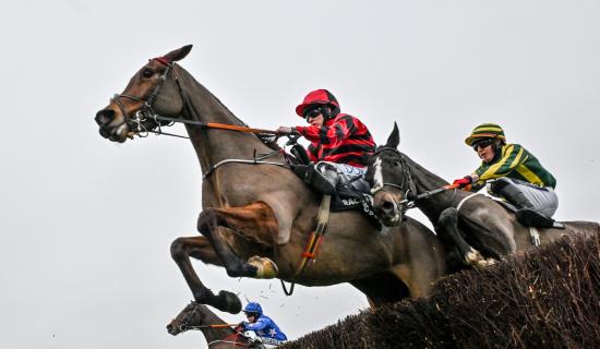 Christmas horse racing tips including 25/1 shot at Leopardstown on St Stephen's Day