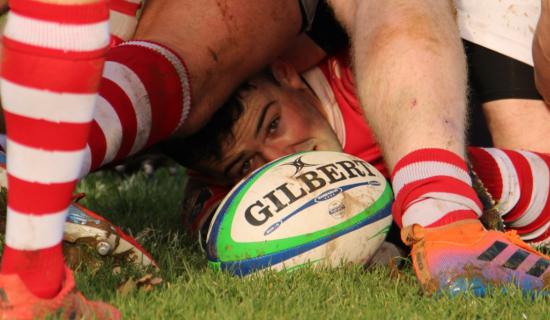 Limerick club and school rugby fixtures - January 6 to January 15