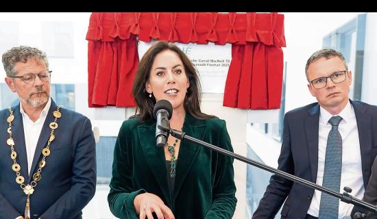 Limerick Mayor explores building modular homes on site of proposed hospital