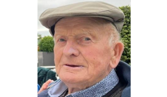 'Huge loss to the historical and literary world': Tributes paid to farmer, 90s, attacked by cow in Limerick