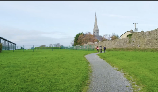 Calls to 'brighten' walkways in Limerick town will depend on wildlife survey results