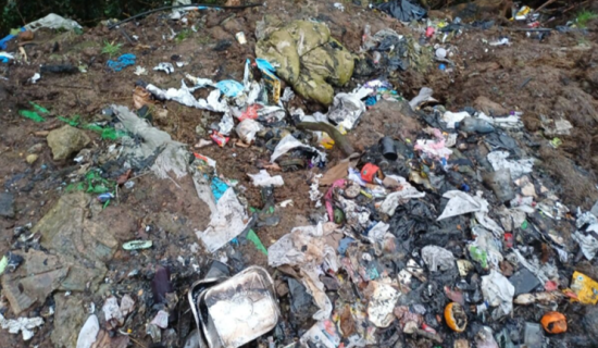 Judge hands down &euro;8,500 in fines in water pollution and dumping cases taken by Limerick Council