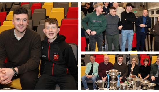 PICTURES: Declan Hannon honoured as former school marks Limerick hurling star's retirement