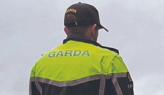 BREAKING: Over 30 new garda&iacute; to be assigned to Limerick stations