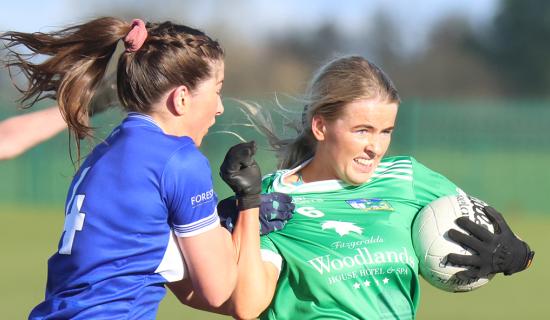 Youthful Limerick suffer defeat to Laois in Lidl Ladies National Football League clash