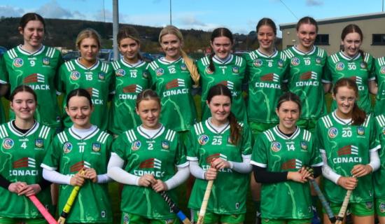 Action continues to come thick and fast for Limerick Camogie sides
