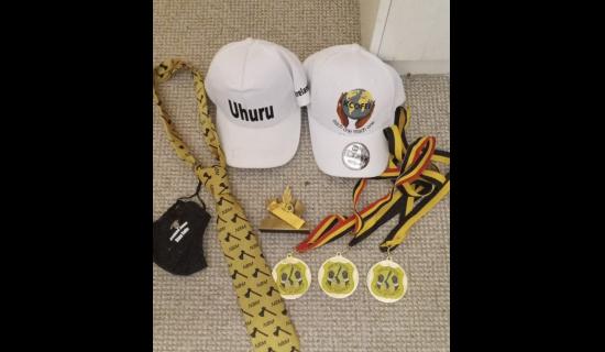 Gardai raid properties in Limerick in an operation targeting the Nigerian mafia