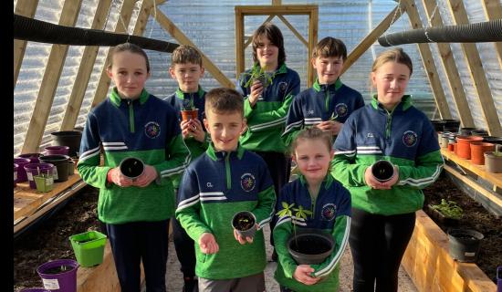 Limerick school launches new Community Biodiversity Action Plan