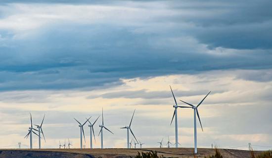 Campaigners to meet over plan for Limerick wind turbine project