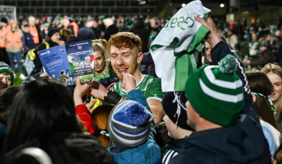 Four Limerick hurlers players named on GAA team of the week