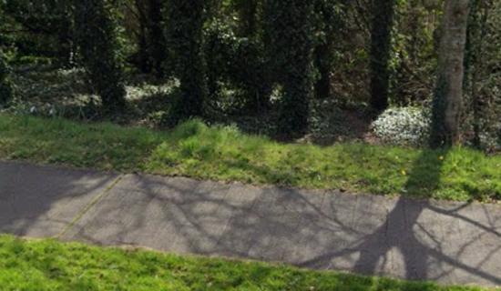 Gardai hunt creepy flasher who performed sex act in public in Limerick